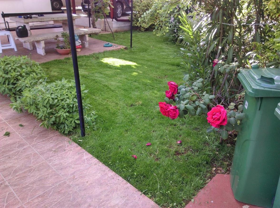 Apartment Casa Del Sol Novigrad Istria Kültér fotó