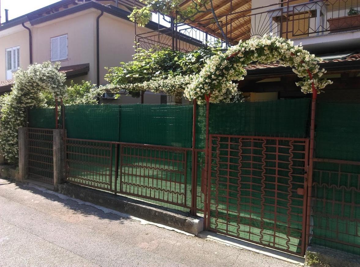 Apartment Casa Del Sol Novigrad Istria Kültér fotó