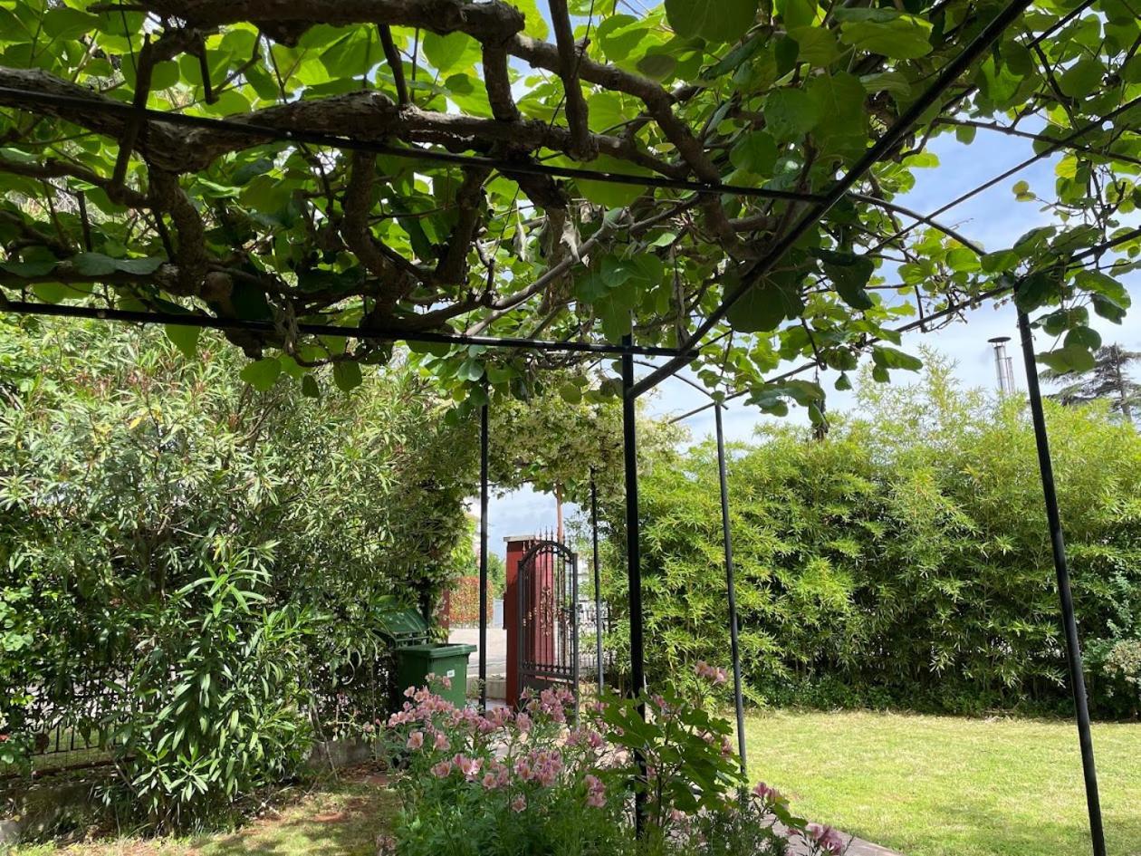 Apartment Casa Del Sol Novigrad Istria Kültér fotó